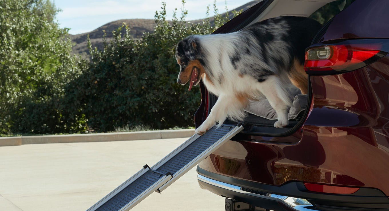 Mazda CX-90 PHEV Accessories – Pet Ramp
