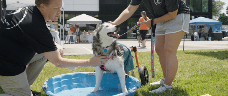 Mazda Hosts 2nd Annual Husky Rescue Event