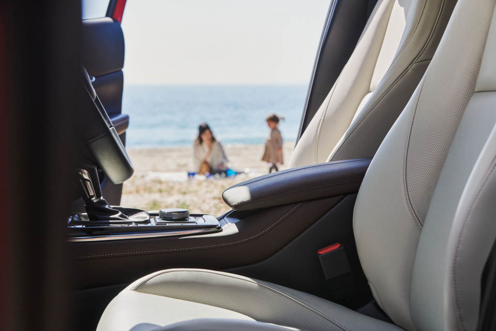Mazda CX-30 Crossover Interior View Through