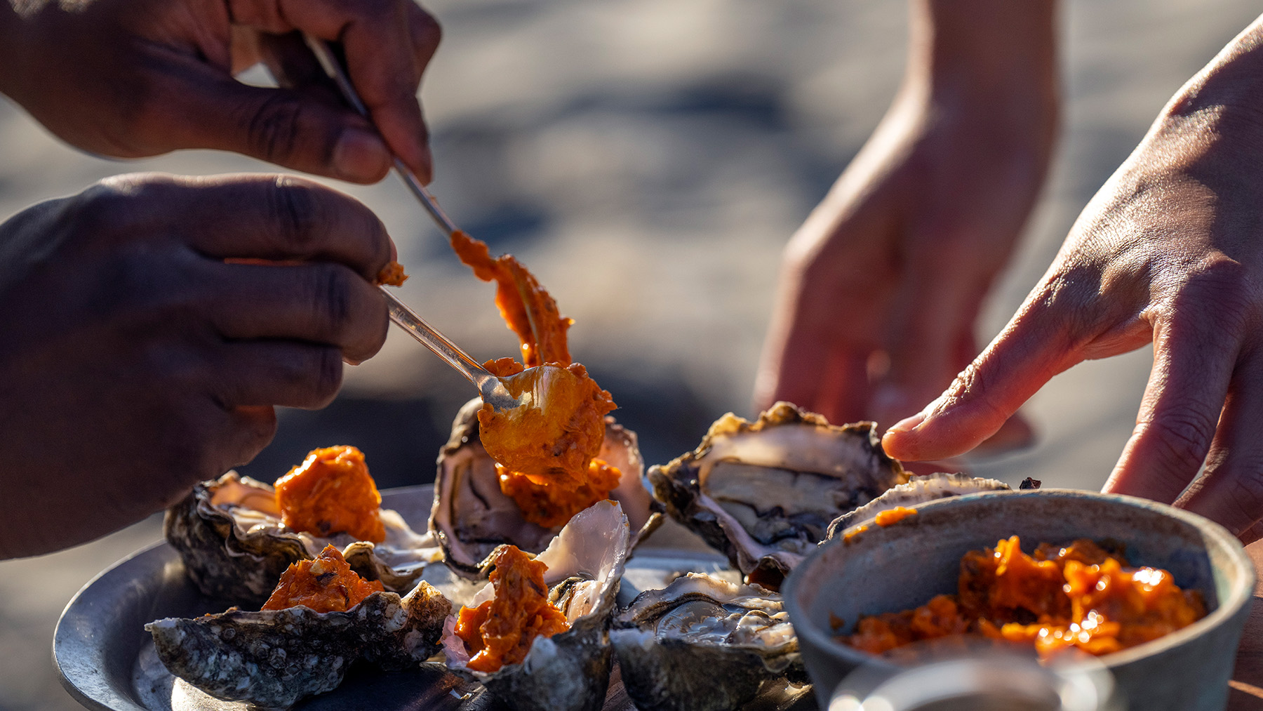 2023 Mazda CX-50 Tasting Wild – Coastline – Oysters