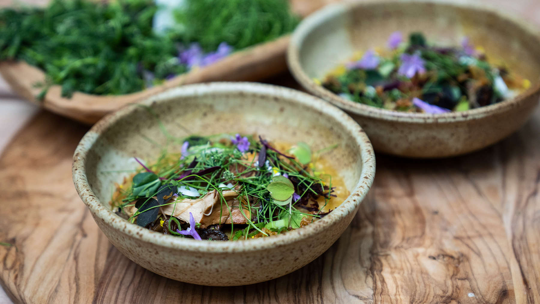 2023 Mazda CX-50 Tasting Wild – Old Growth Forest – Dishes