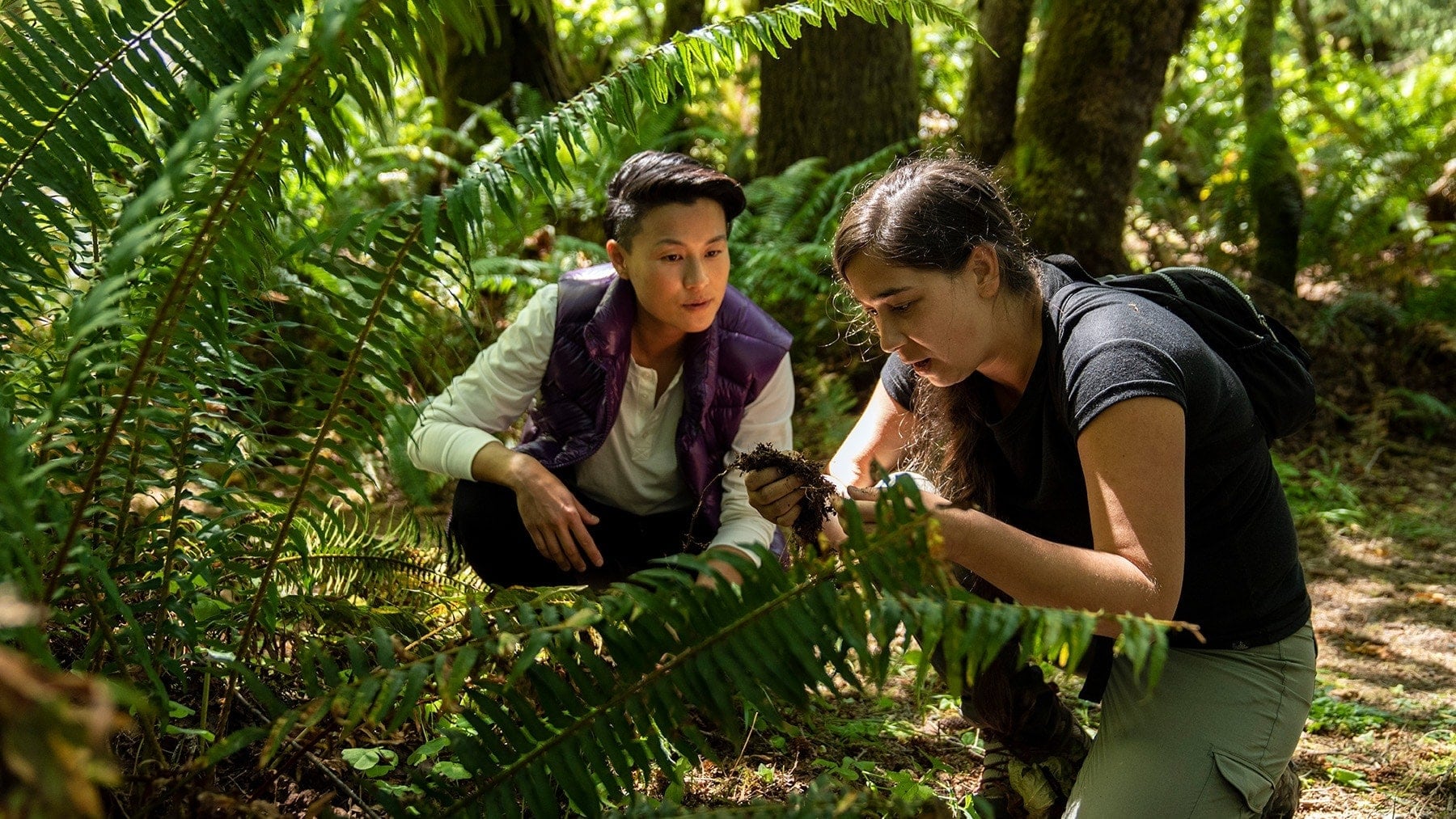 2023 Mazda CX-50 Tasting Wild – Old Growth Forest – Foraging