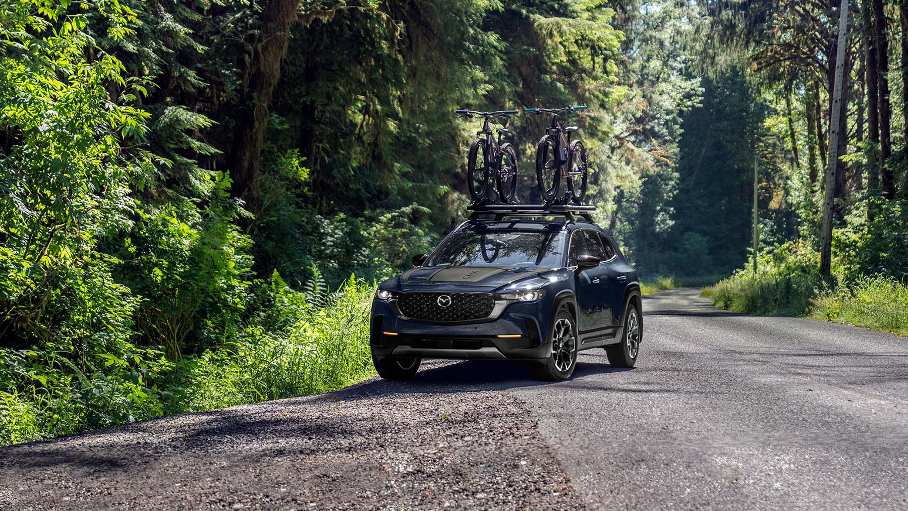 2023 Mazda CX-50 Tasting Wild – Old Growth Forest – Offroad