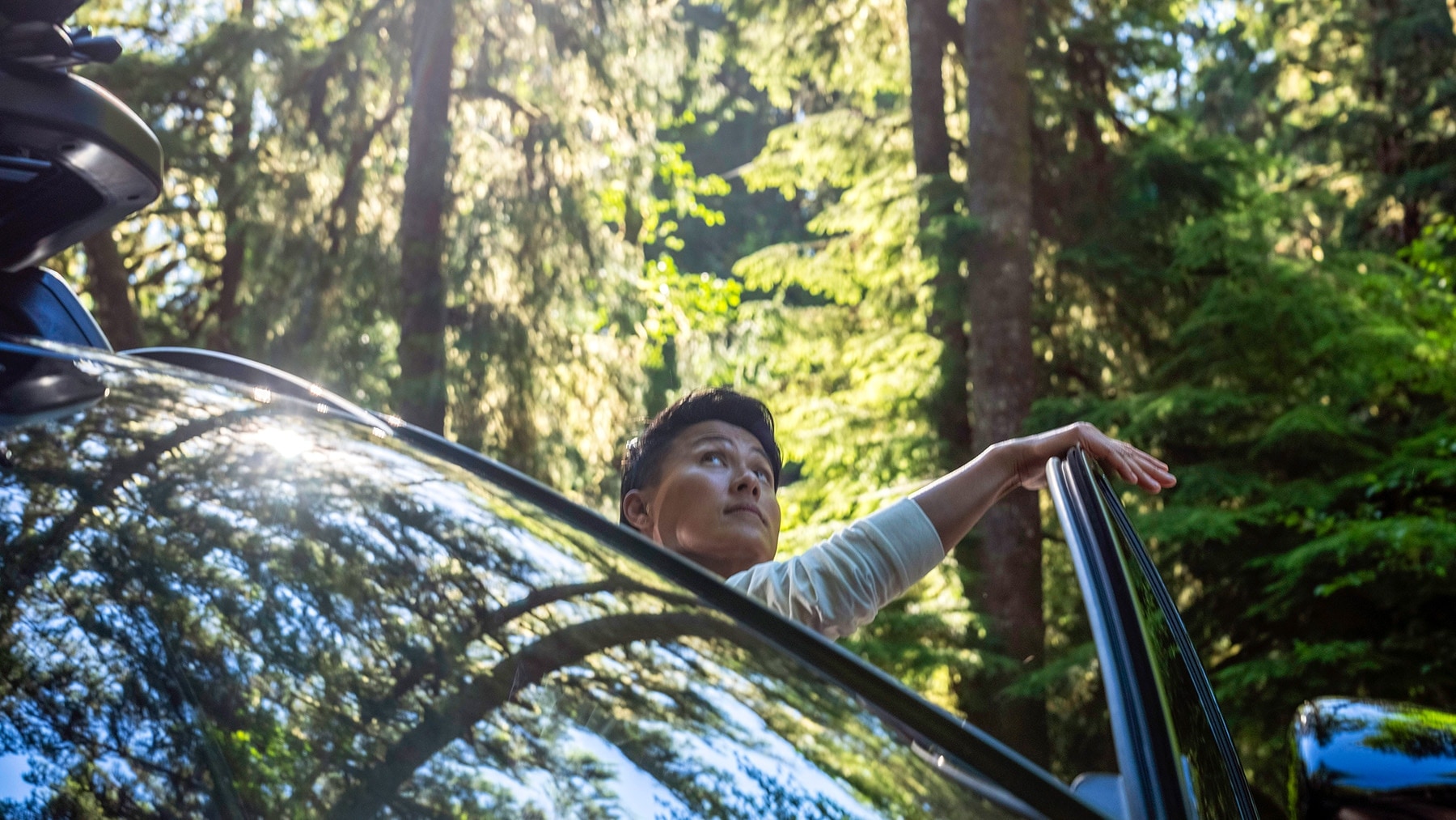 2023 Mazda CX-50 Tasting Wild – Old Growth Forest – Parked in a Forest