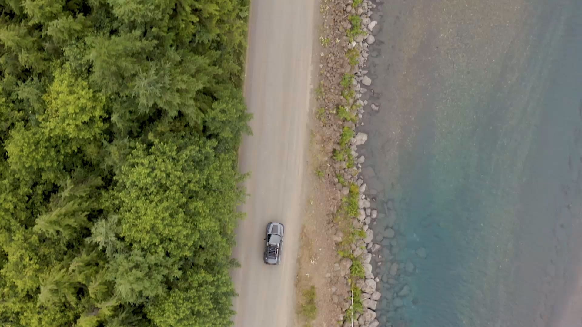 2023 Mazda CX-50 Tasting Wild – Old Growth Forest 2023 Mazda CX-50 Tasting Wild – Old Growth Forest