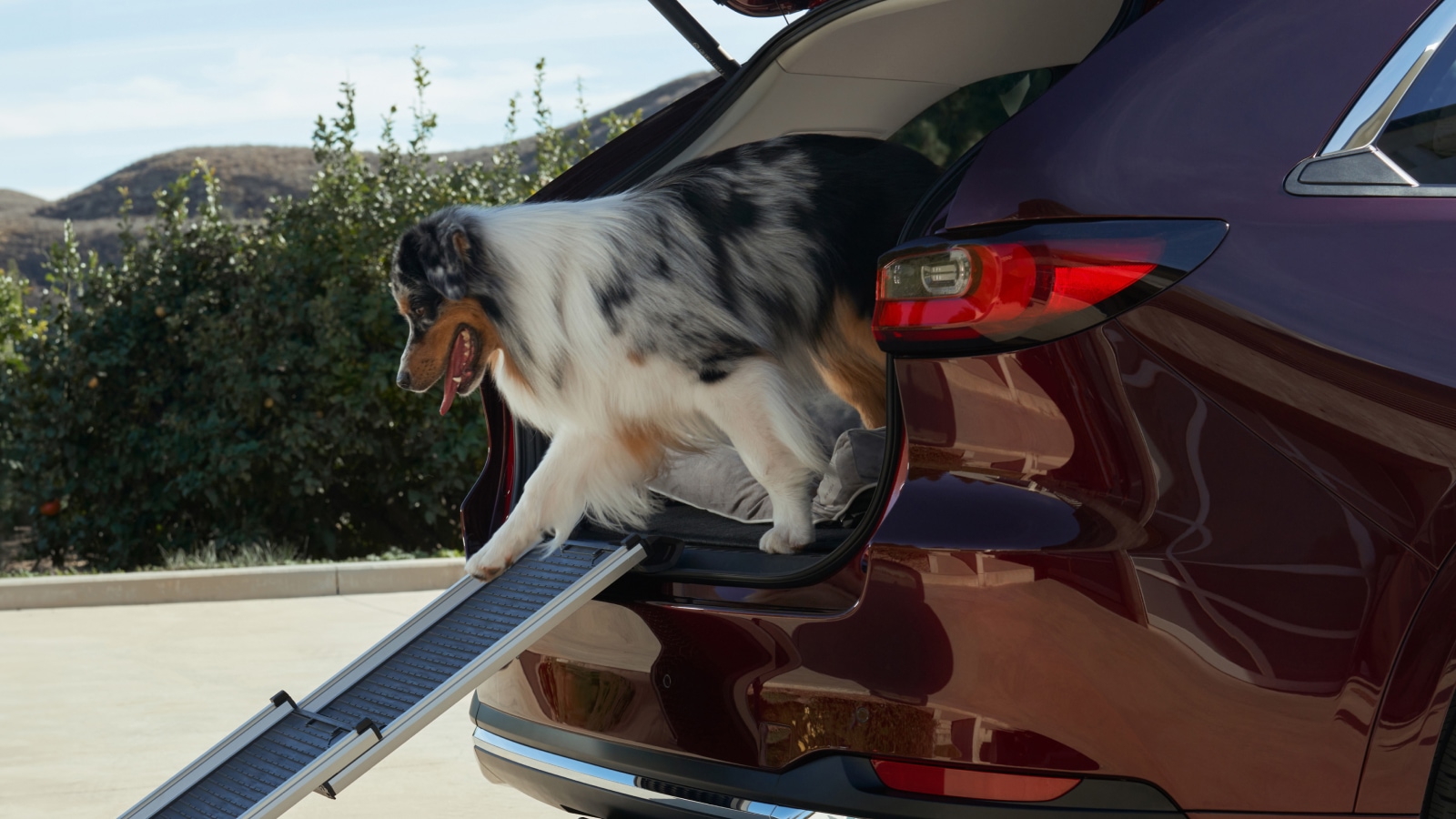 2025 mazda cx-90 phev pet ramp accessory